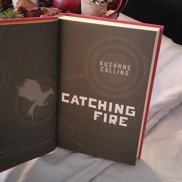 ⚜️ Catching Fire & Mockingjay - Picture 9 of 12